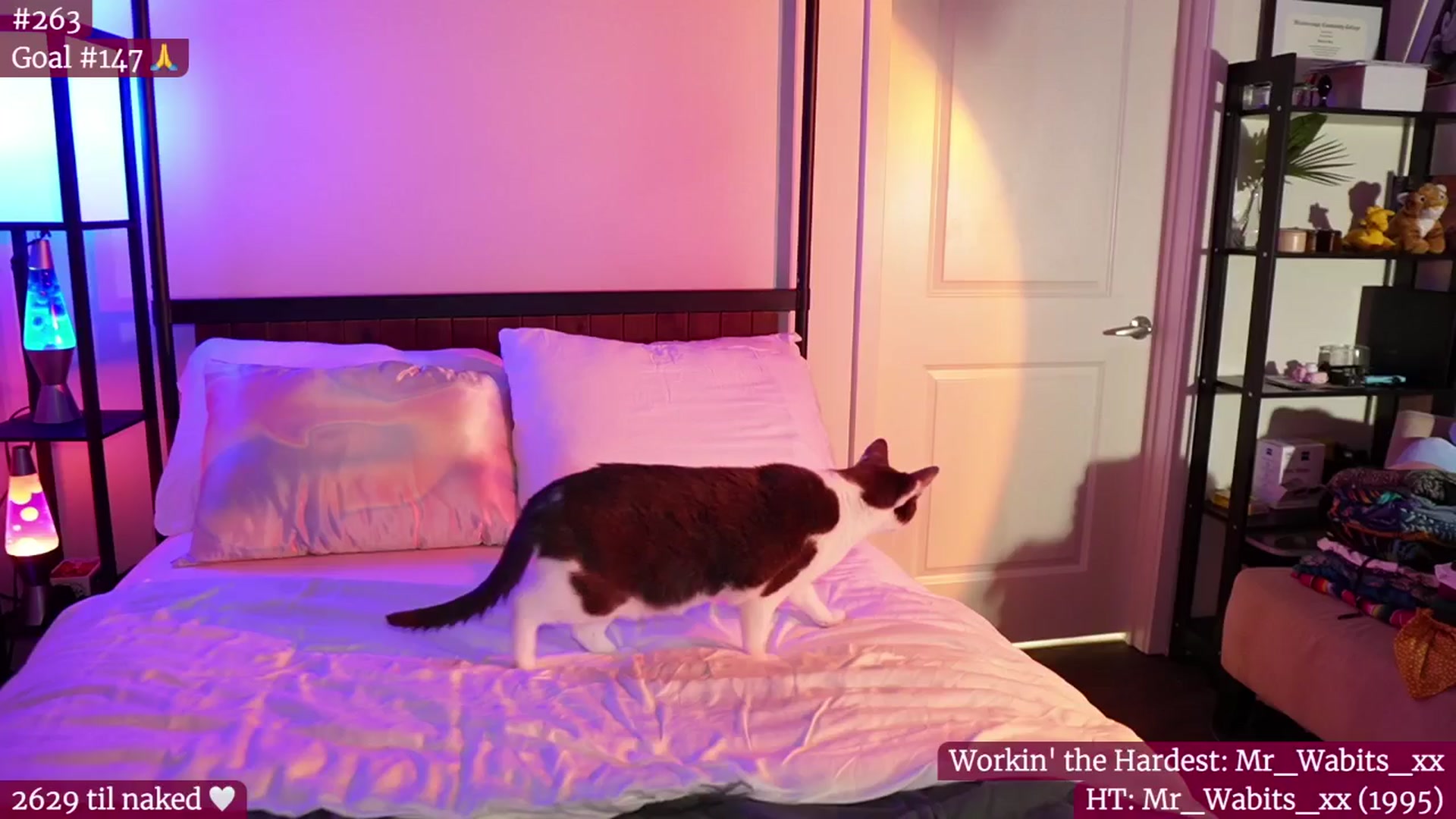 Gallery image thumbnail from Gia_Hill's myfreecams stream on, 09/05/2024, 04:18 image 9 of 20