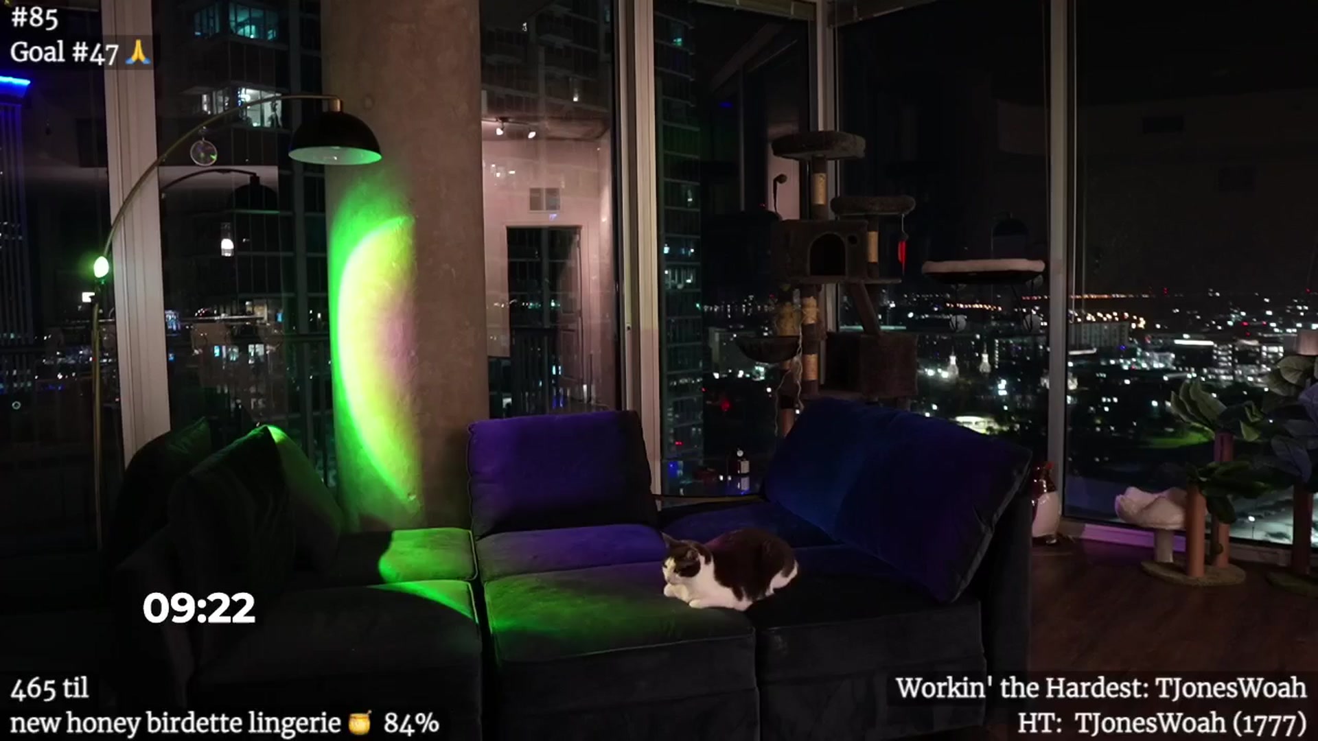 Gallery image thumbnail from Gia_Hill's myfreecams stream on, 11/24/2024, 05:26 image 3 of 20