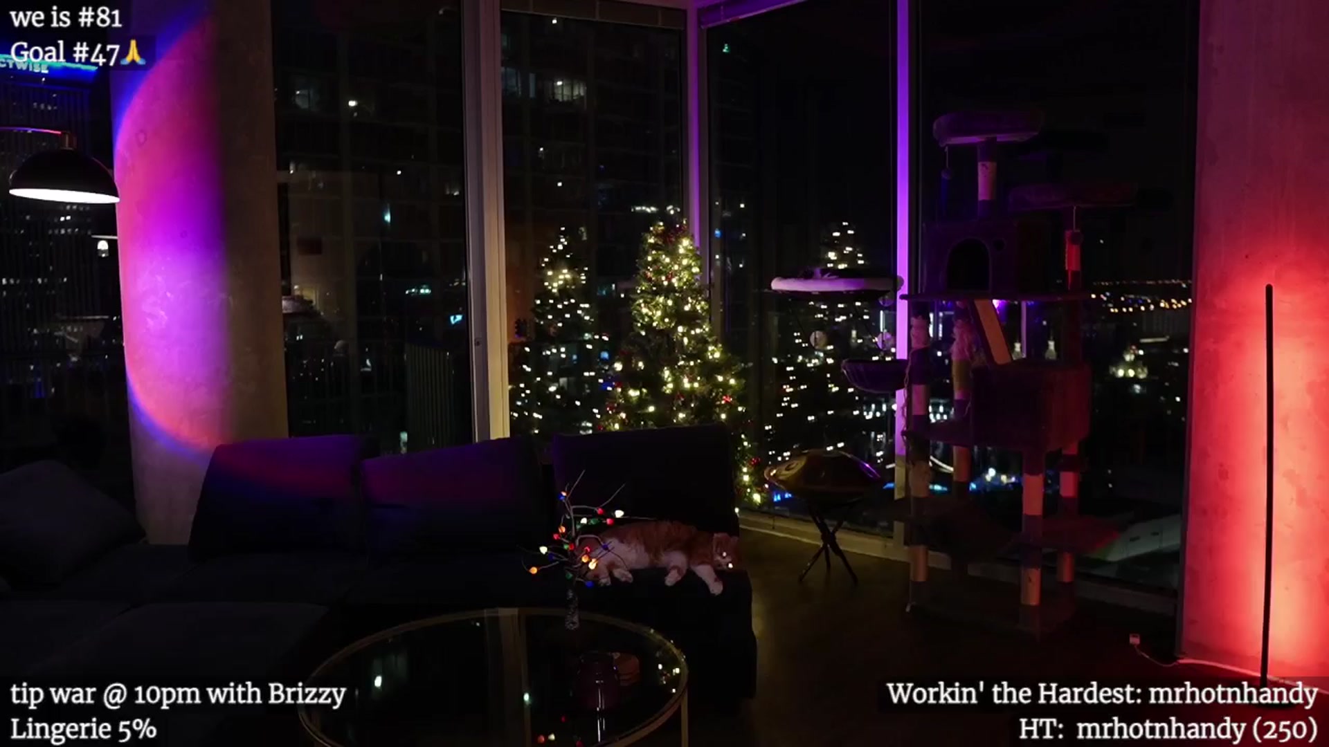 Gallery image thumbnail from Gia_Hill's myfreecams stream on, 12/14/2024, 03:09 image 6 of 20