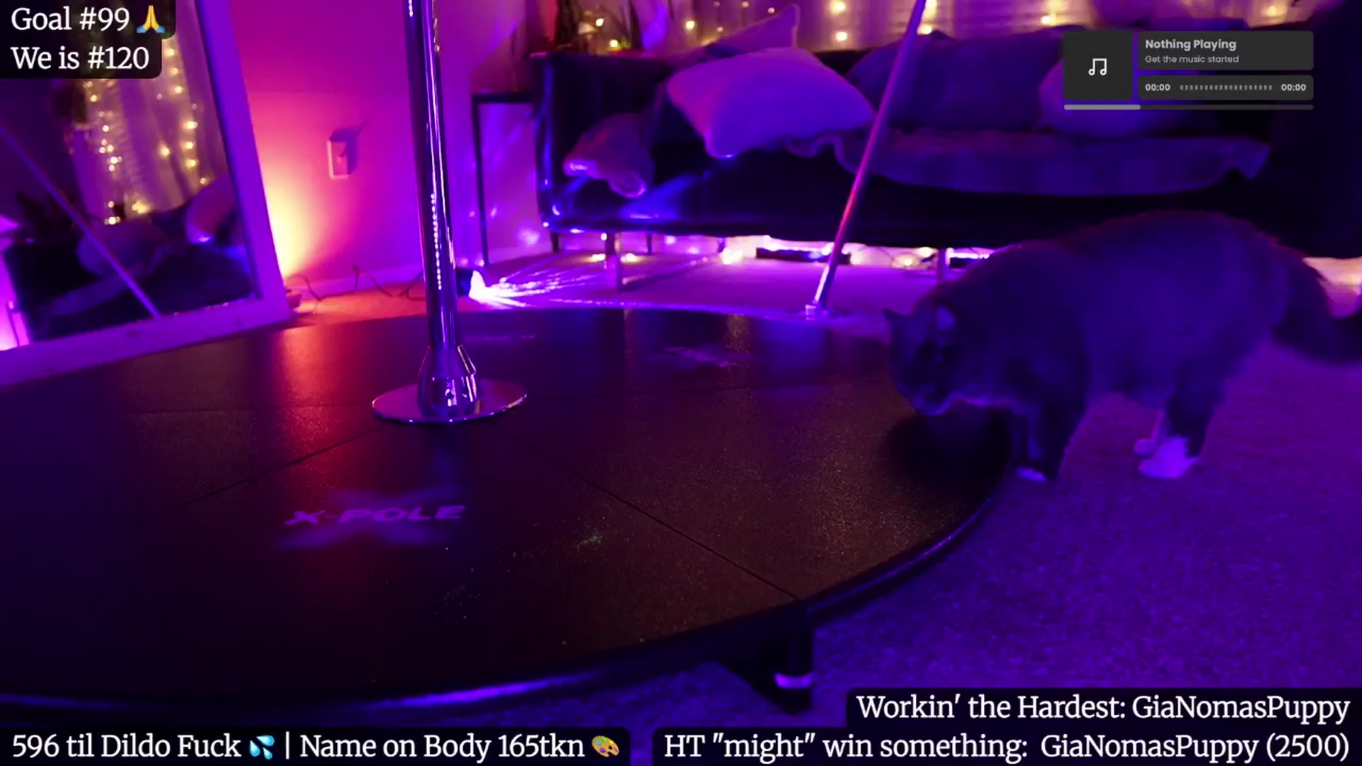 Gallery image thumbnail from Gia_Hill's myfreecams stream on, 05/17/2025, 05:19 image 6 of 20