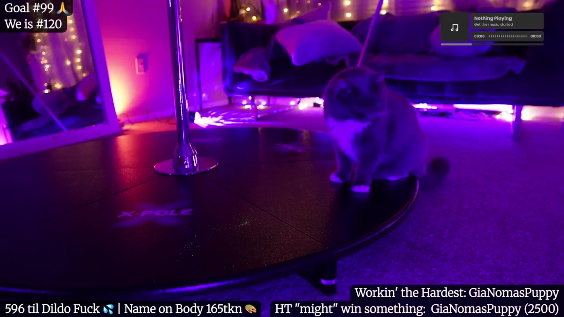 Gallery image thumbnail from Gia_Hill's myfreecams stream on, 05/17/2025, 05:19 image 7 of 20