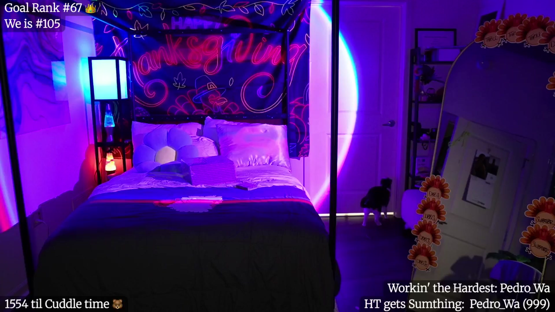 Gallery image thumbnail from Gia_Hill's myfreecams stream on, 11/08/2025, 05:59 image 1 of 20
