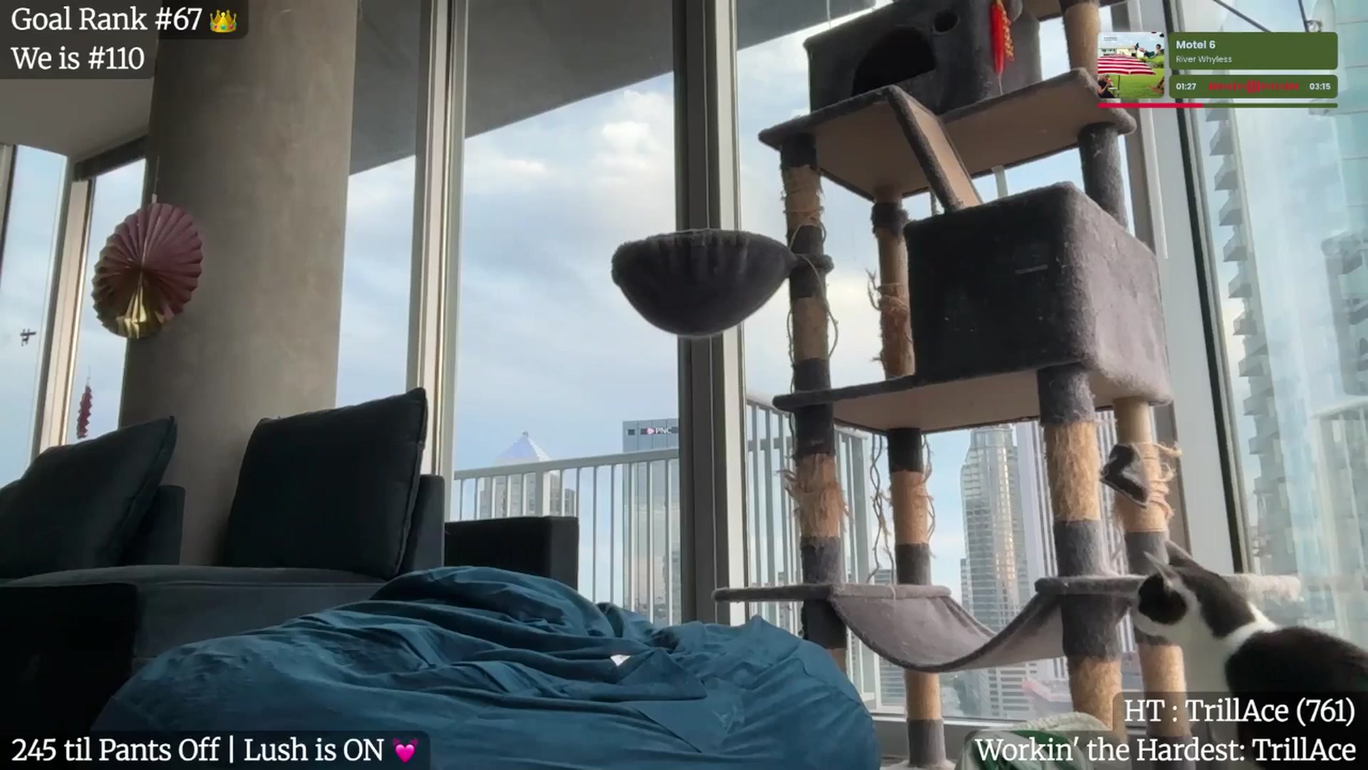 Gallery image thumbnail from Gia_Hill's myfreecams stream on, 11/27/2025, 22:33 image 14 of 20