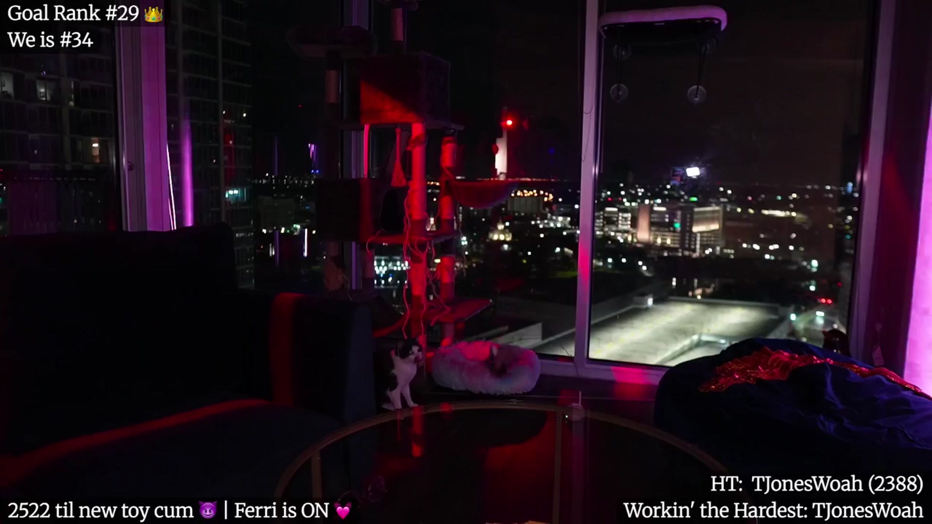 Gallery image thumbnail from Gia_Hill's myfreecams stream on, 01/15/2026, 04:39 image 13 of 20