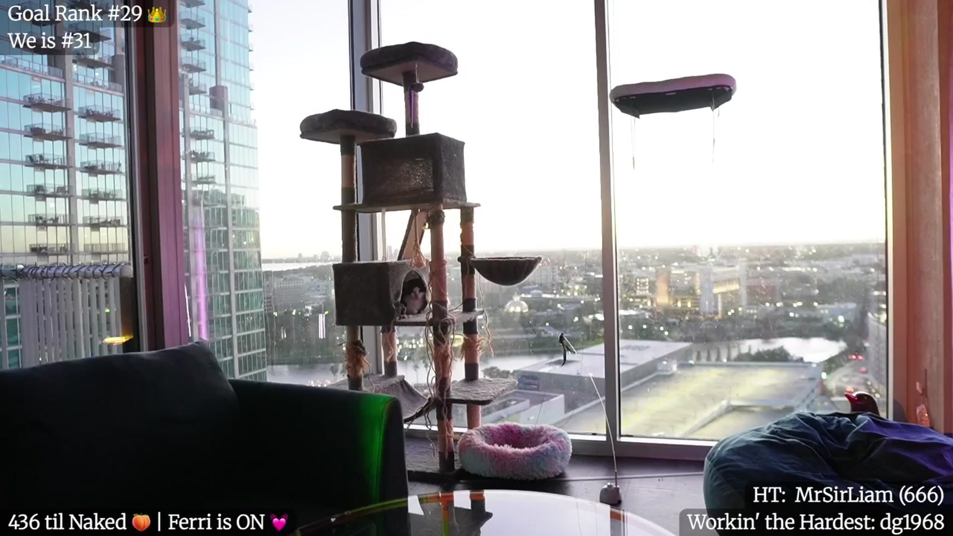 Gallery image thumbnail from Gia_Hill's myfreecams stream on, 01/16/2026, 24:00 image 1 of 20
