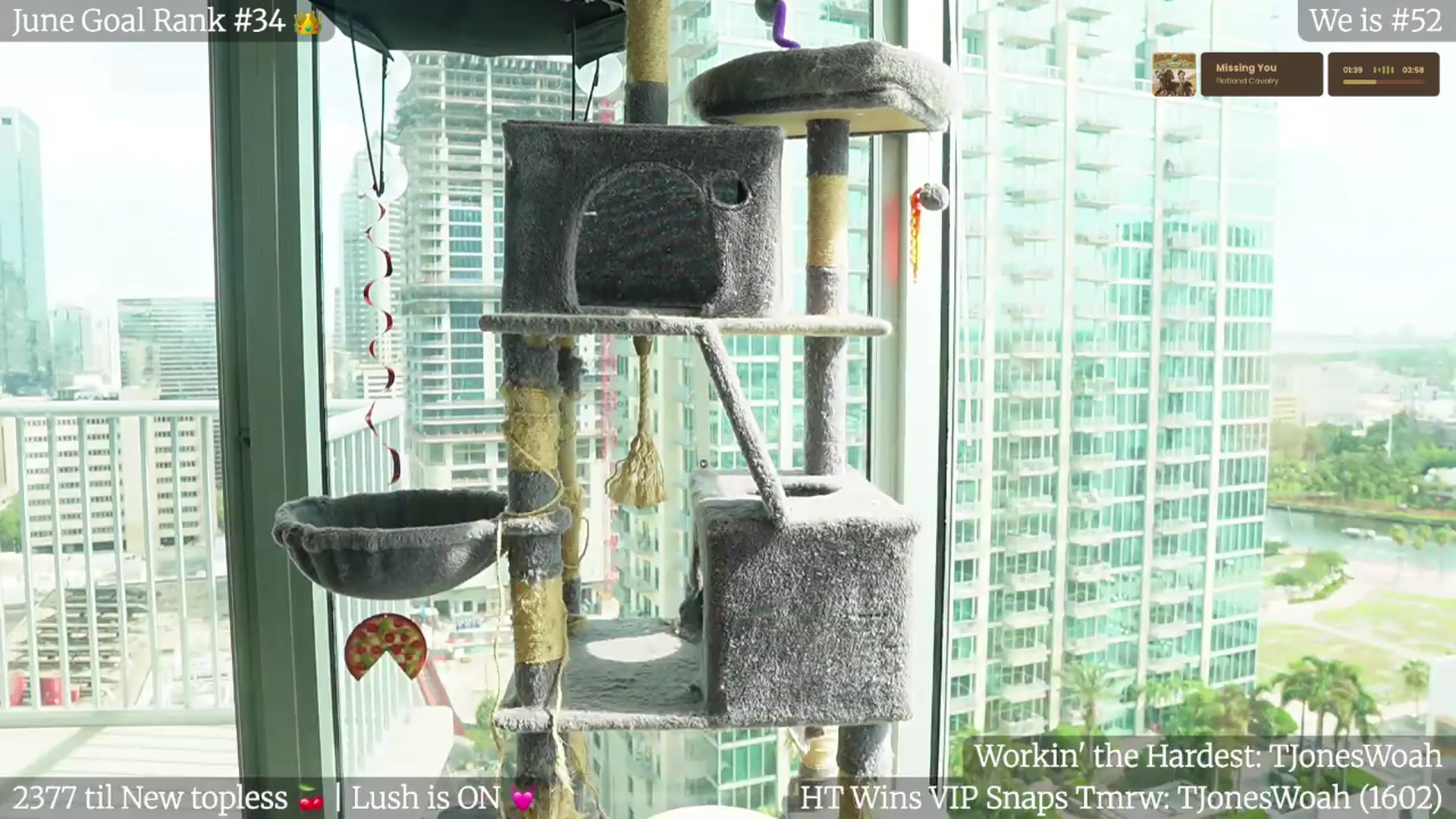 Gallery image thumbnail from Gia_Hill's myfreecams stream on, 06/24/2026, 21:16 image 11 of 20