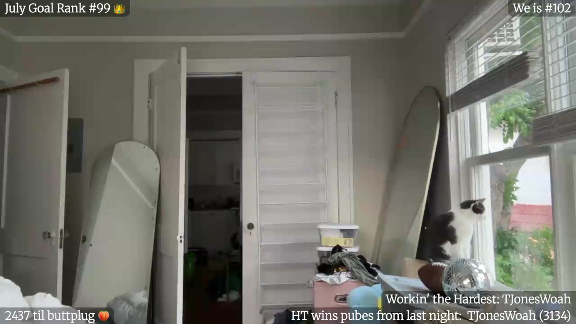 Gallery image thumbnail from Gia_Hill's myfreecams stream on, 07/29/2026, 24:59 image 4 of 20