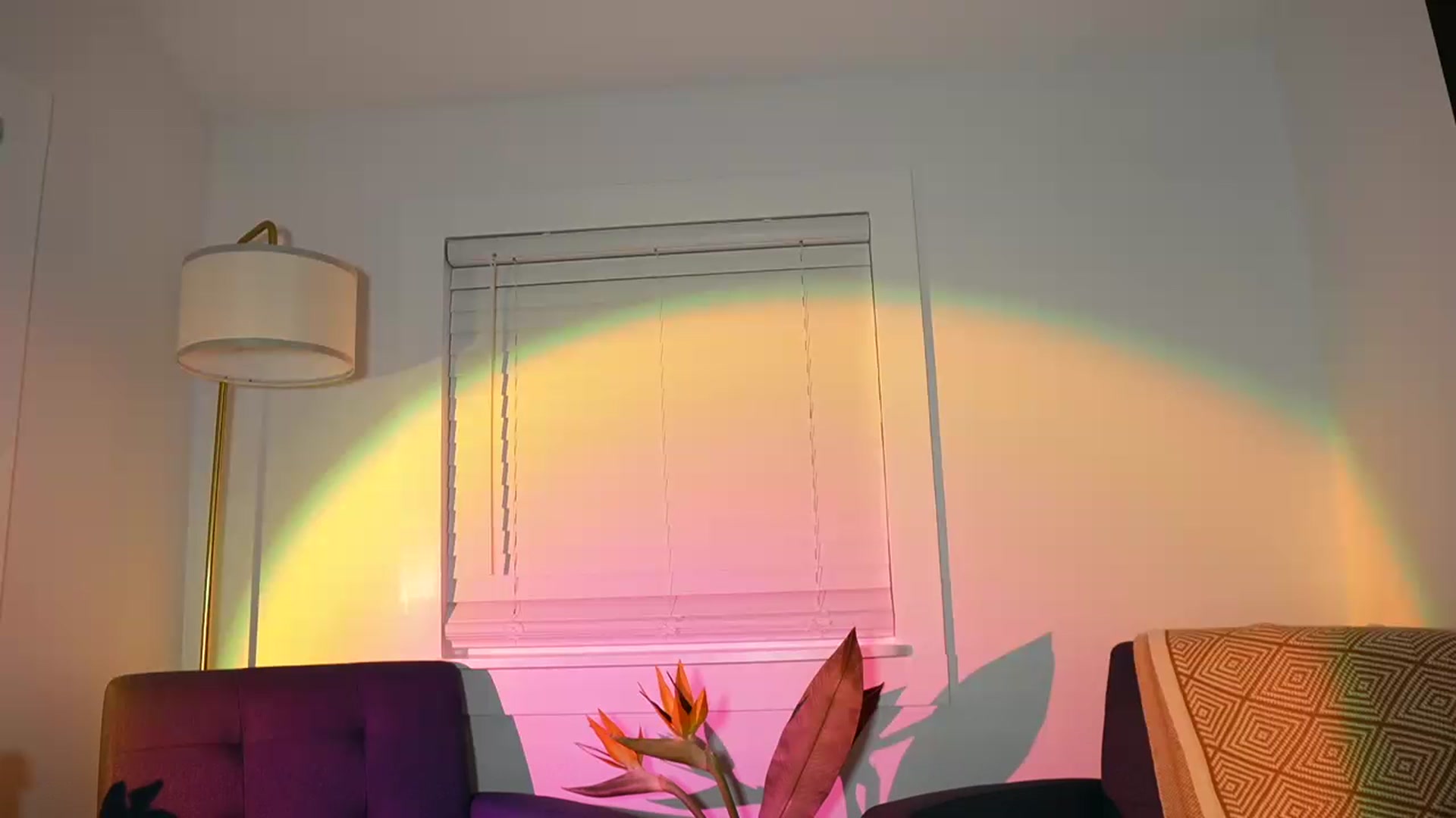 Gallery image thumbnail from Gia_NewYear's myfreecams stream on, 01/01/2024, 24:02 image 6 of 20