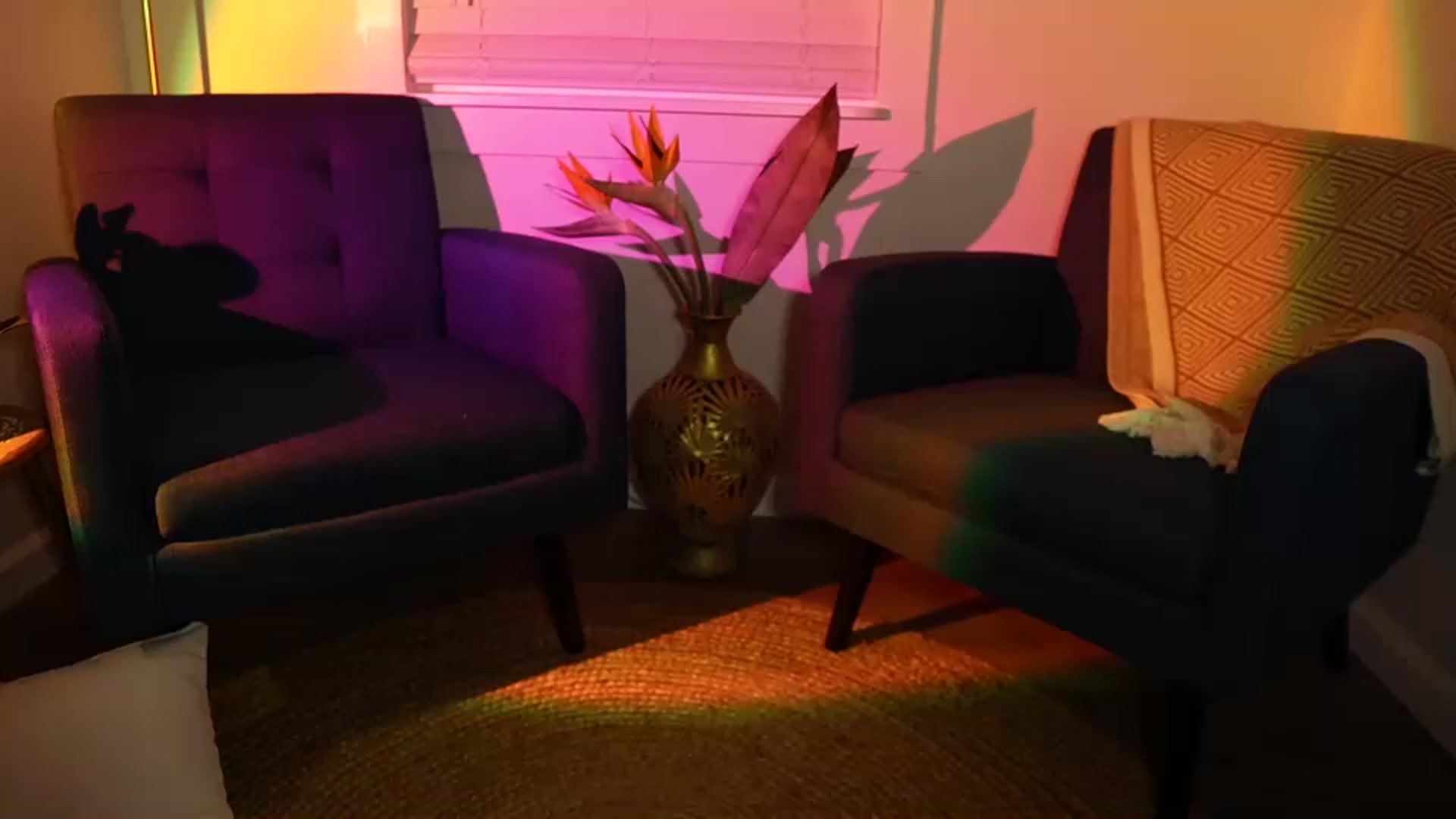 Gallery image thumbnail from Gia_NewYear's myfreecams stream on, 01/01/2024, 01:07 image 17 of 20