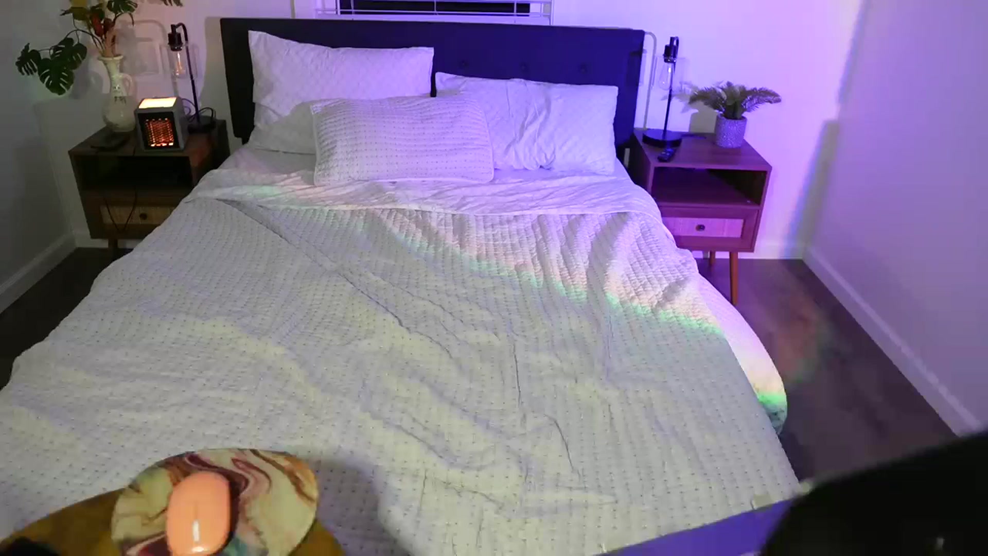 Gallery image thumbnail from Gia_Xxxmas's myfreecams stream on, 12/30/2023, 05:23 image 13 of 20