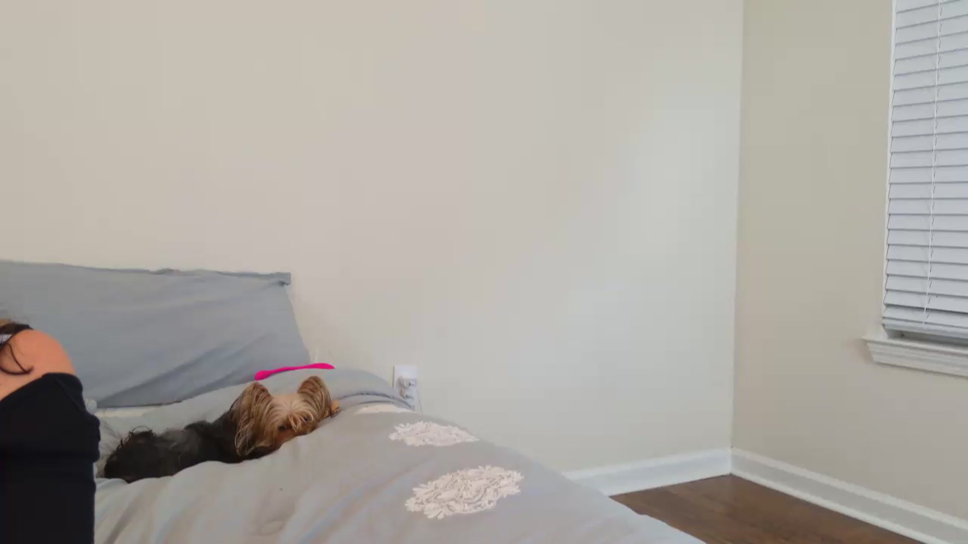 Gallery image thumbnail from Giaislovely's myfreecams stream on, 08/27/2023, 06:52 image 1 of 20