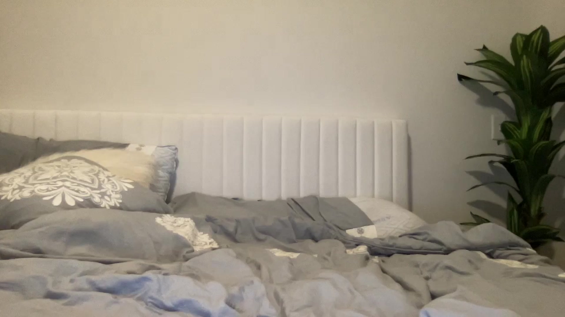 Gallery image thumbnail from Giaislovely's myfreecams stream on, 01/28/2024, 08:19 image 16 of 20