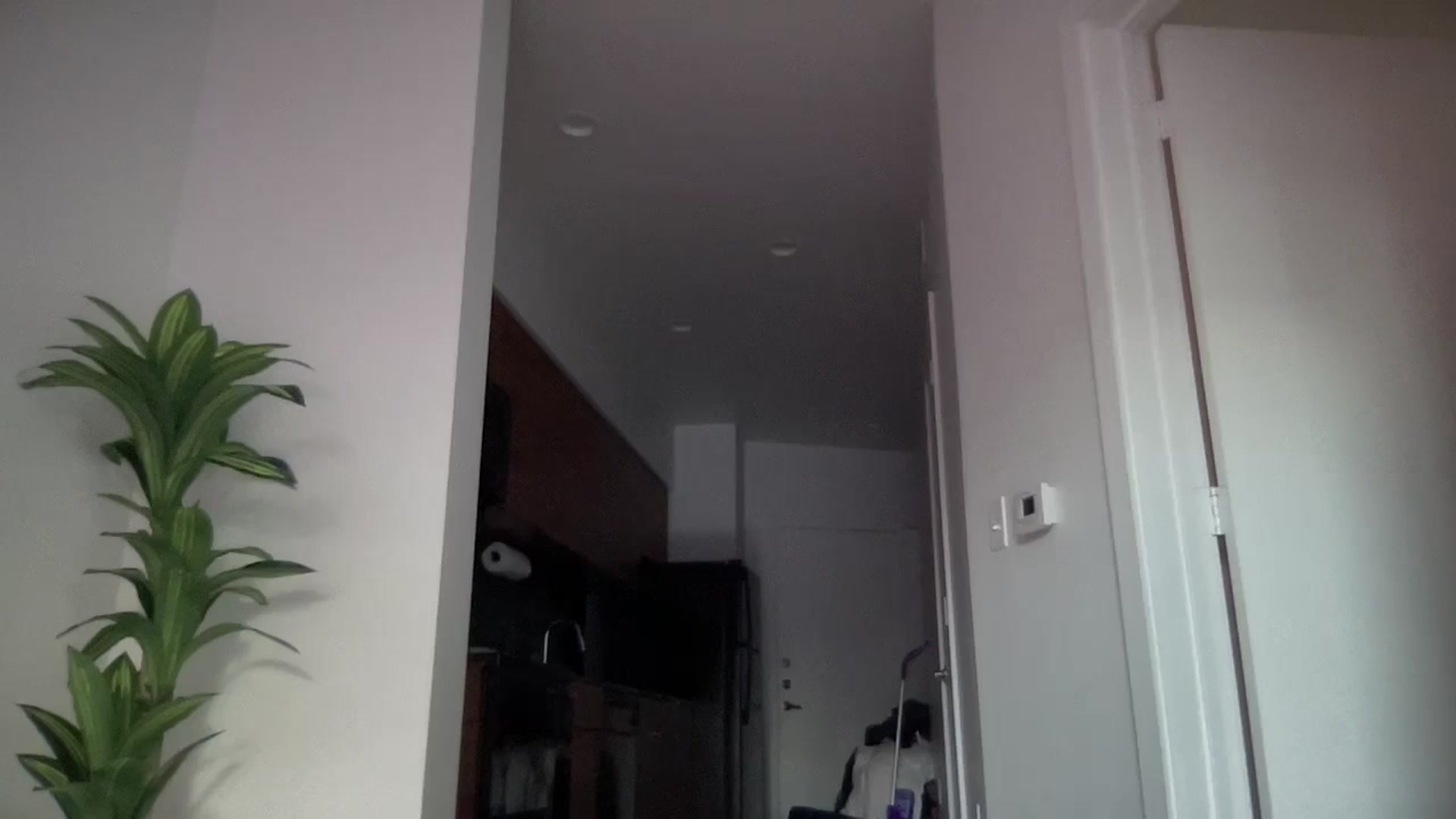 Gallery image thumbnail from Giaislovely's myfreecams stream on, 06/19/2024, 01:22 image 9 of 20