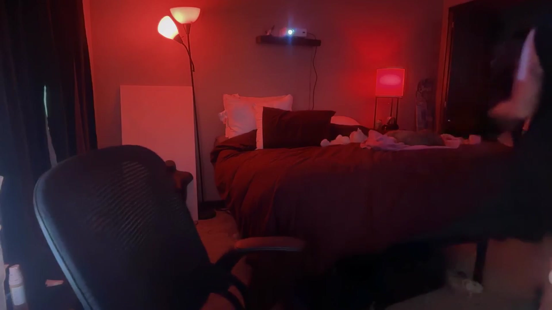 Gallery image thumbnail from GianaJolie's myfreecams stream on, 12/05/2025, 20:50 image 12 of 20