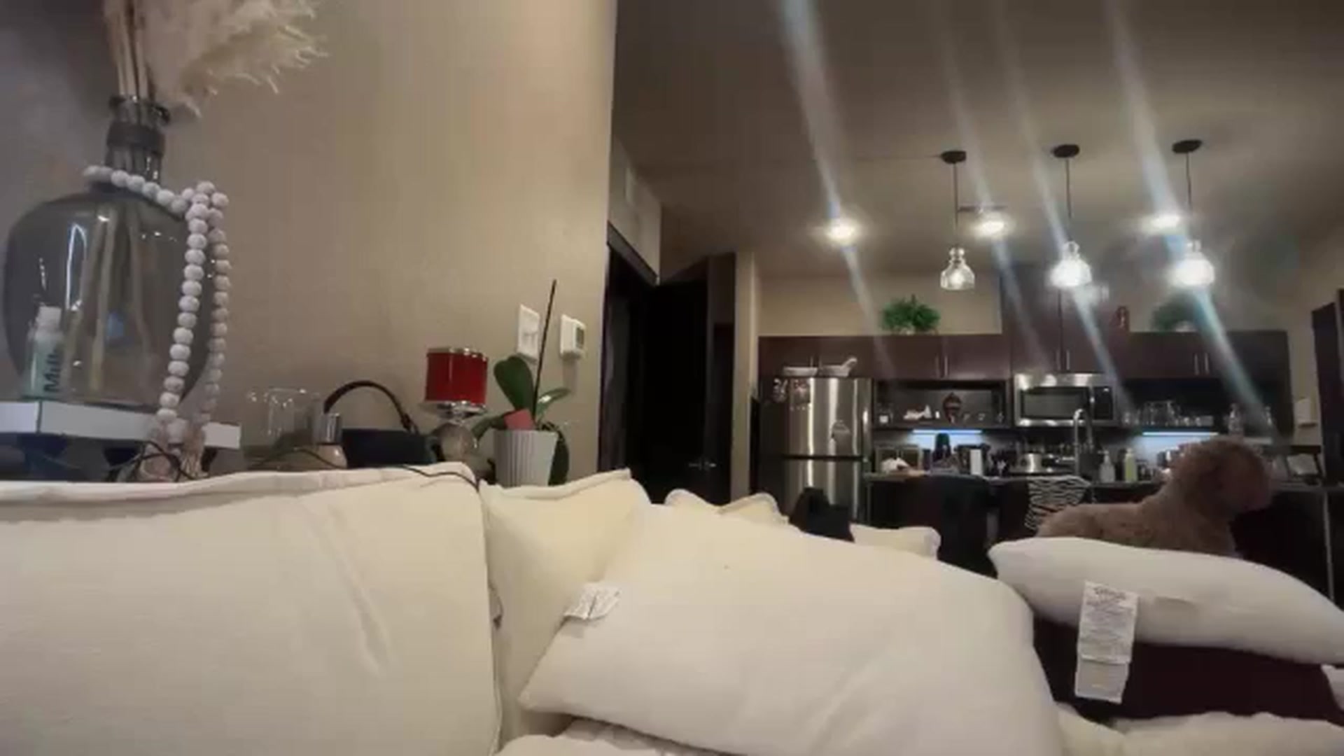 Gallery image thumbnail from GianaJolie's myfreecams stream on, 02/01/2026, 10:21 image 5 of 20