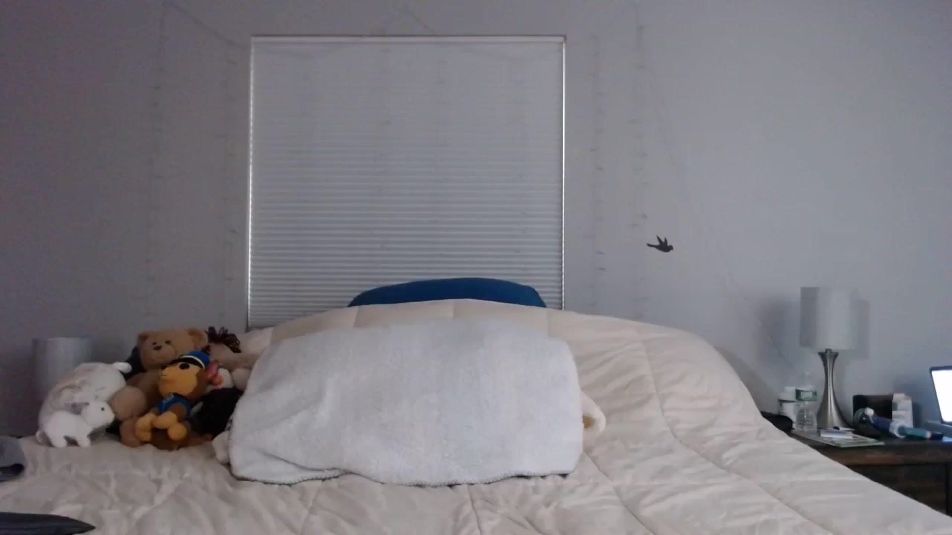 Gallery image thumbnail from Gina_Rae's myfreecams stream on, 09/19/2023, 15:29 image 9 of 20