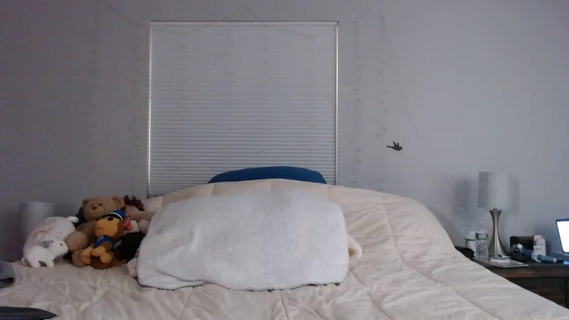 Gallery image thumbnail from Gina_Rae's myfreecams stream on, 09/19/2023, 15:29 image 11 of 20