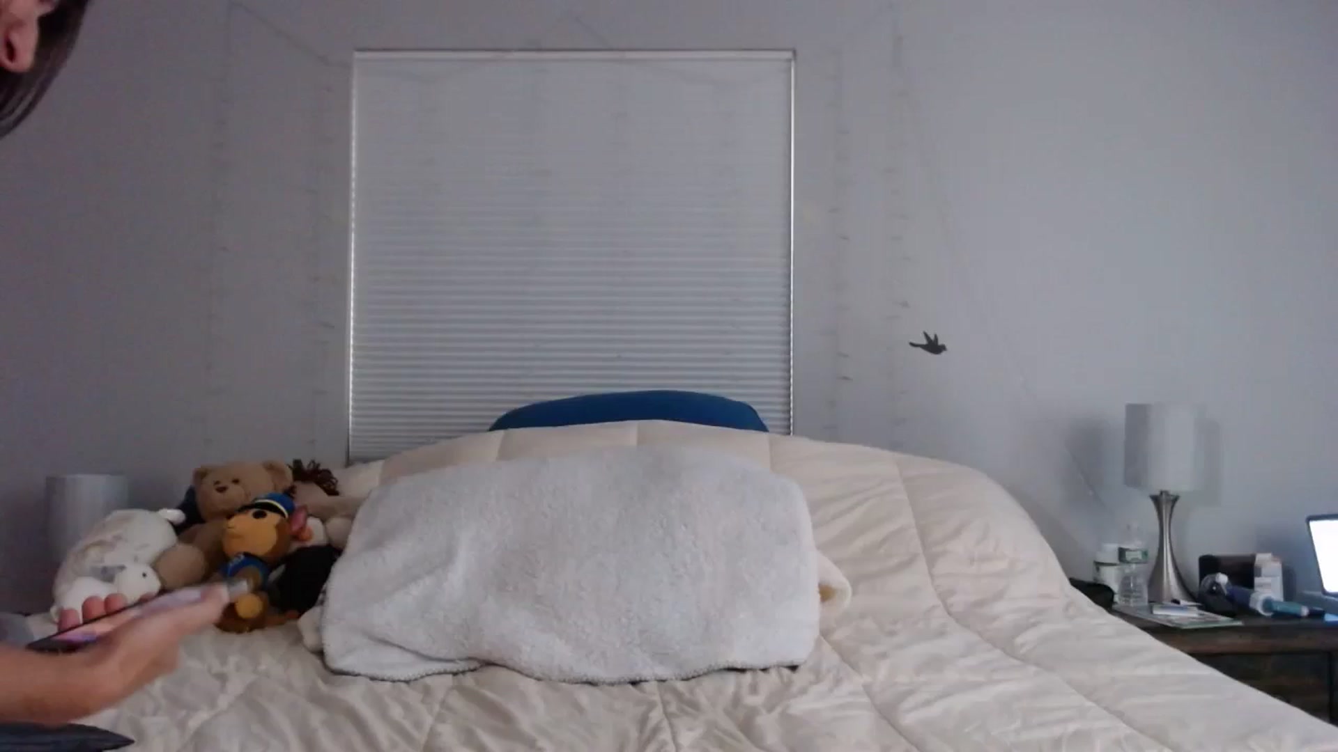 Gallery image thumbnail from Gina_Rae's myfreecams stream on, 09/19/2023, 15:29 image 12 of 20