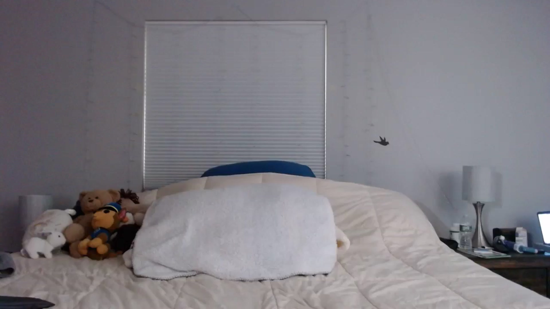 Gallery image thumbnail from Gina_Rae's myfreecams stream on, 09/19/2023, 15:29 image 8 of 20