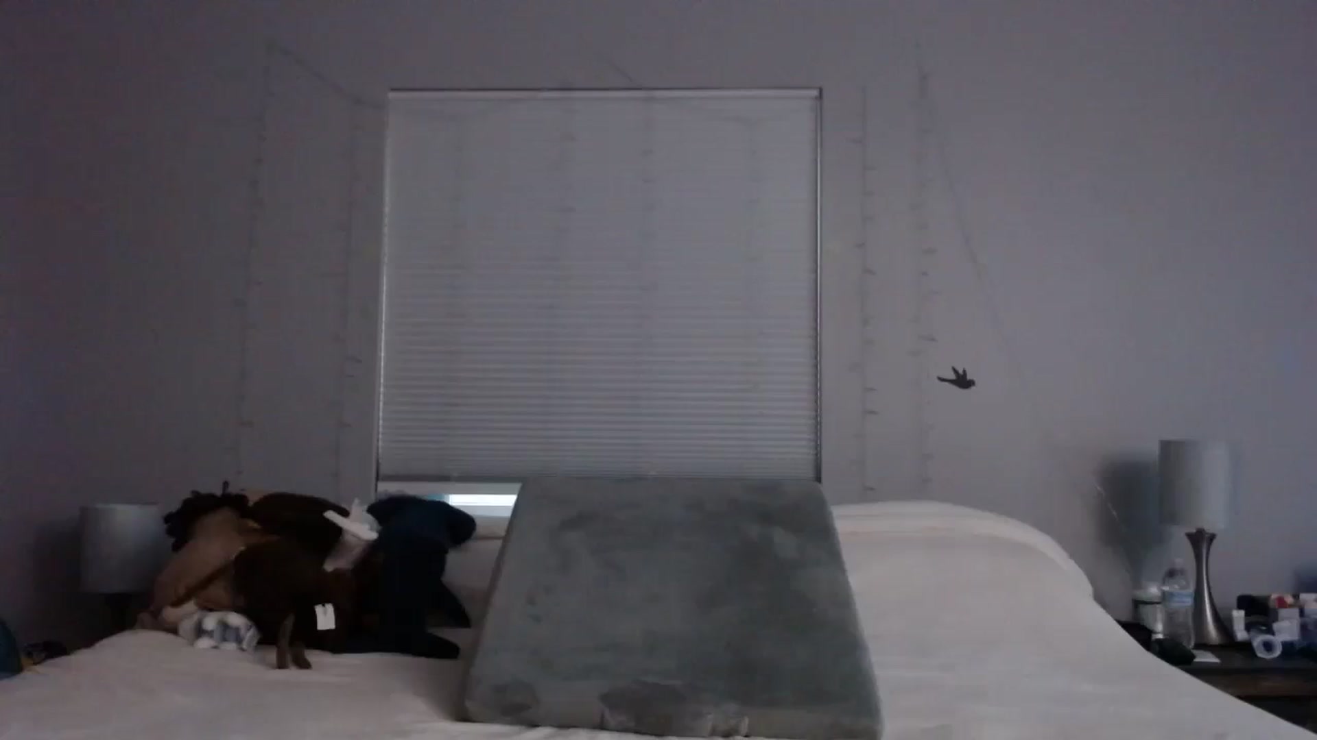 Gallery image thumbnail from Gina_Rae's myfreecams stream on, 10/02/2023, 14:35 image 17 of 20