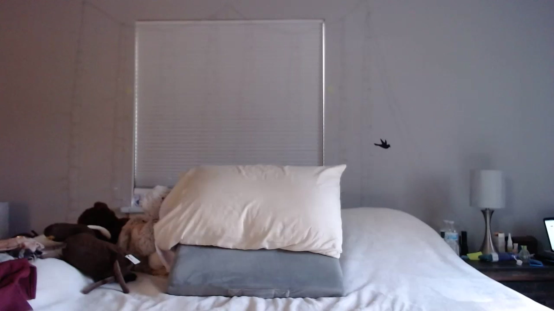 Gallery image thumbnail from Gina_Rae's myfreecams stream on, 02/26/2024, 16:00 image 9 of 20