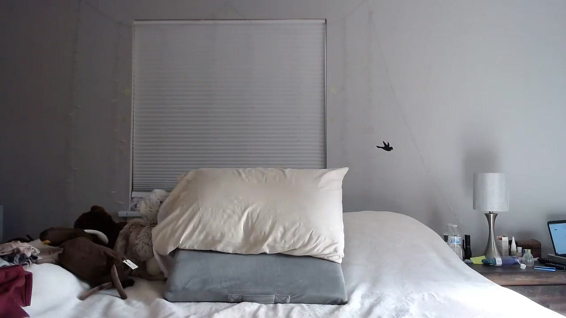 Gallery image thumbnail from Gina_Rae's myfreecams stream on, 02/26/2024, 16:00 image 18 of 20