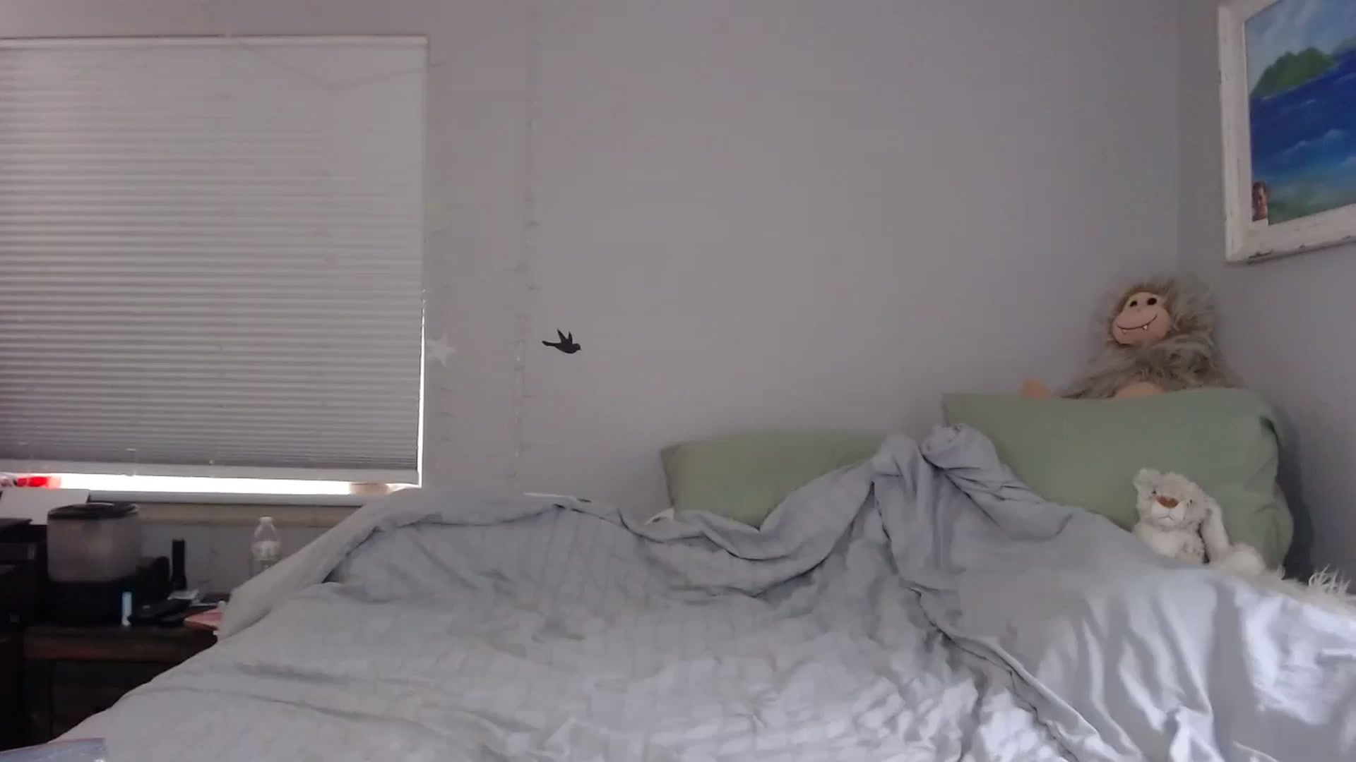 Gallery image thumbnail from Gina_Rae's myfreecams stream on, 01/13/2025, 14:36 image 5 of 20