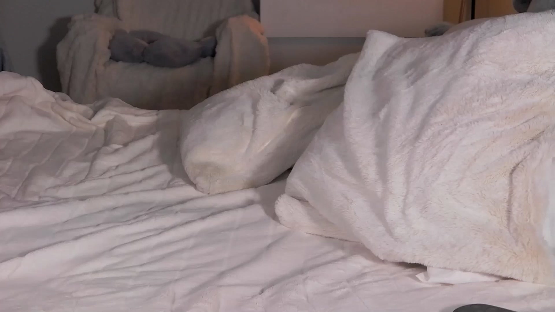 Gallery image thumbnail from GingerVi's myfreecams stream on, 04/16/2025, 01:19 image 13 of 20