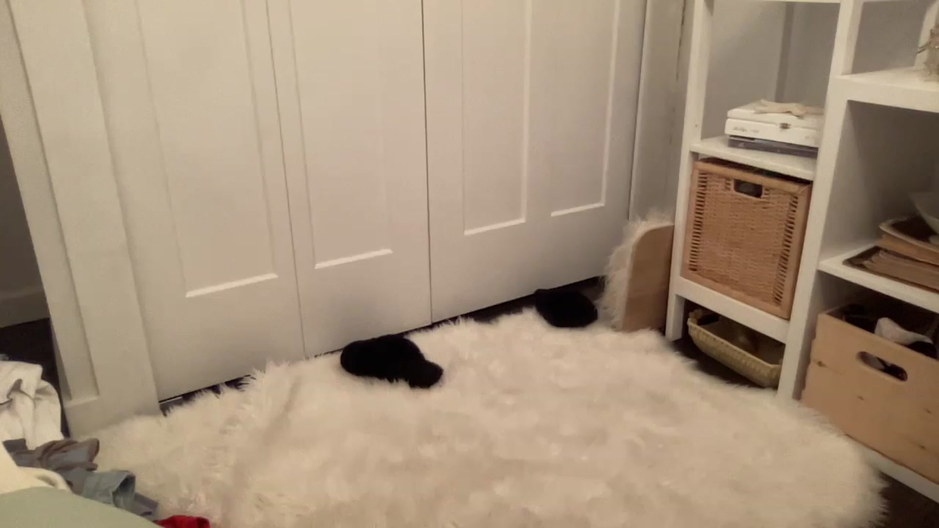 Gallery image thumbnail from Gingerbabyxo's myfreecams stream on, 12/20/2022, 14:56 image 4 of 20
