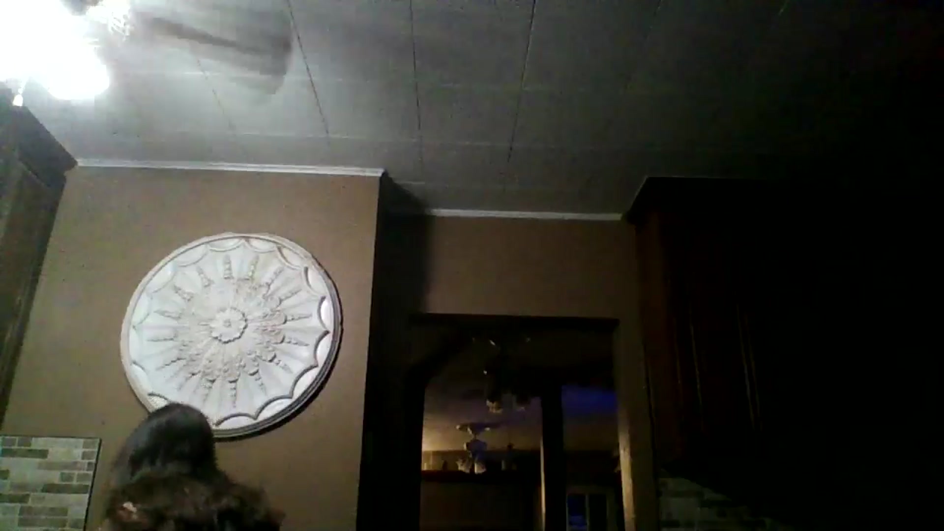 Gallery image thumbnail from GipsyDanger5's myfreecams stream on, 09/09/2025, 10:13 image 5 of 20