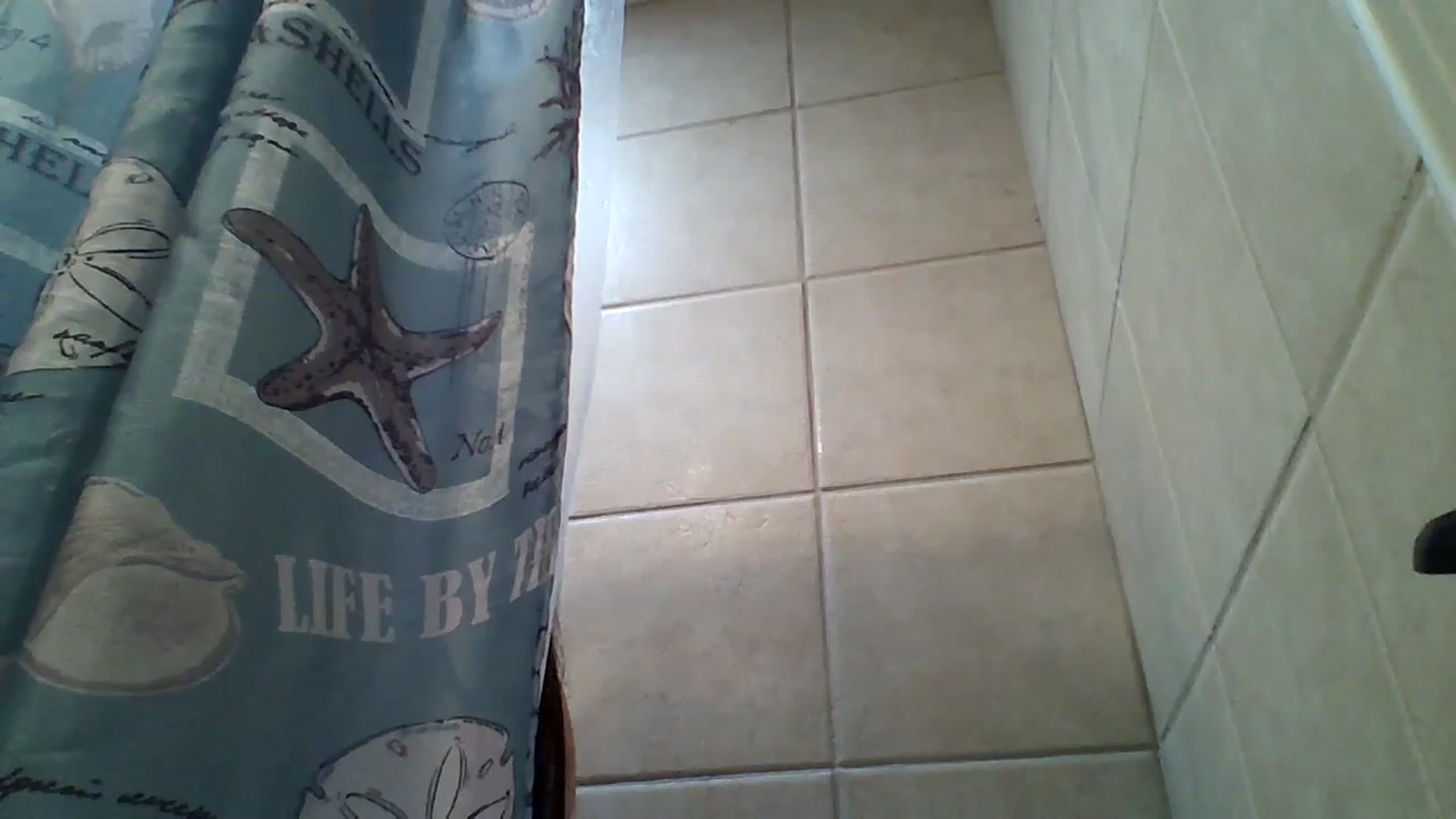 Gallery image thumbnail from GipsyDanger5's myfreecams stream on, 10/06/2025, 08:55 image 5 of 20