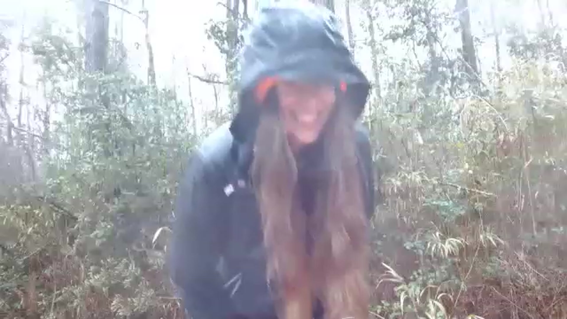 Gallery image thumbnail from GirlOffGrid's myfreecams stream on, 02/02/2023, 15:34 image 16 of 20