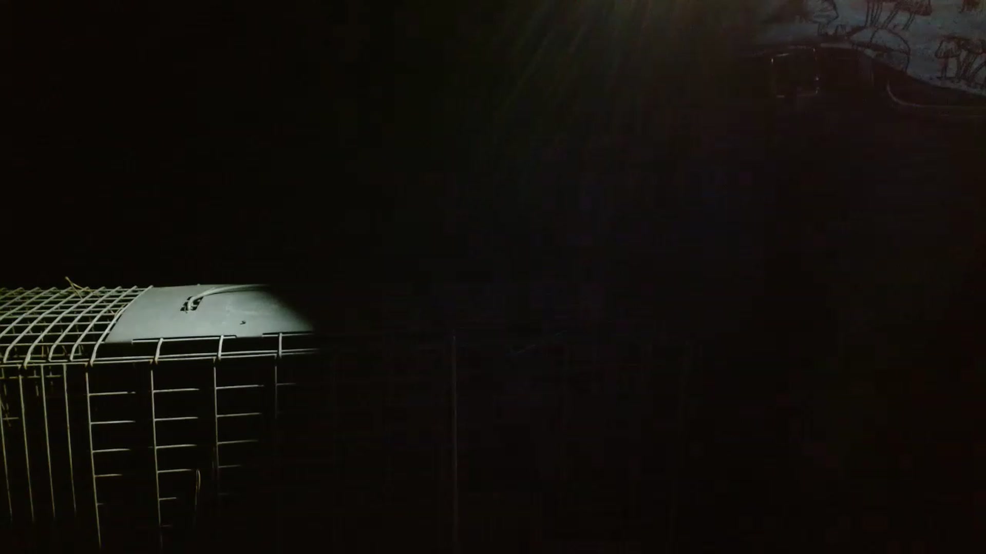 Gallery image thumbnail from GirlOffGrid's myfreecams stream on, 06/27/2023, 03:06 image 4 of 20