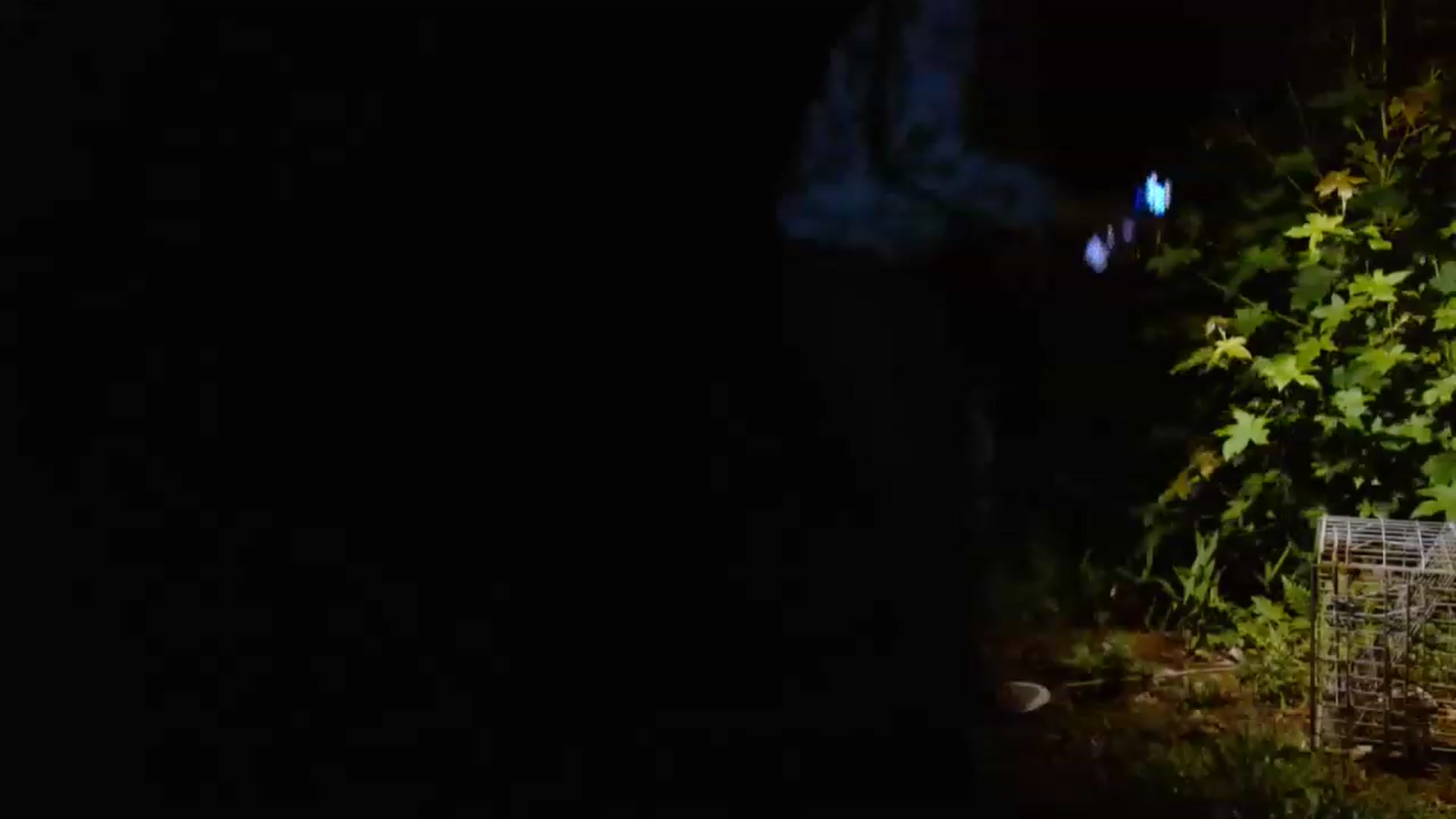 Gallery image thumbnail from GirlOffGrid's myfreecams stream on, 06/27/2023, 03:06 image 1 of 20