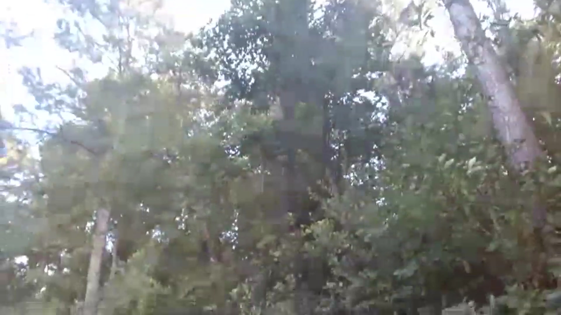 Gallery image thumbnail from GirlOffGrid's myfreecams stream on, 08/10/2023, 24:03 image 2 of 20