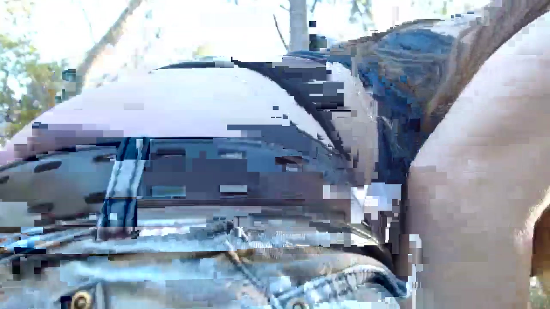 Gallery image thumbnail from GirlOffGrid's myfreecams stream on, 03/31/2024, 23:10 image 10 of 20