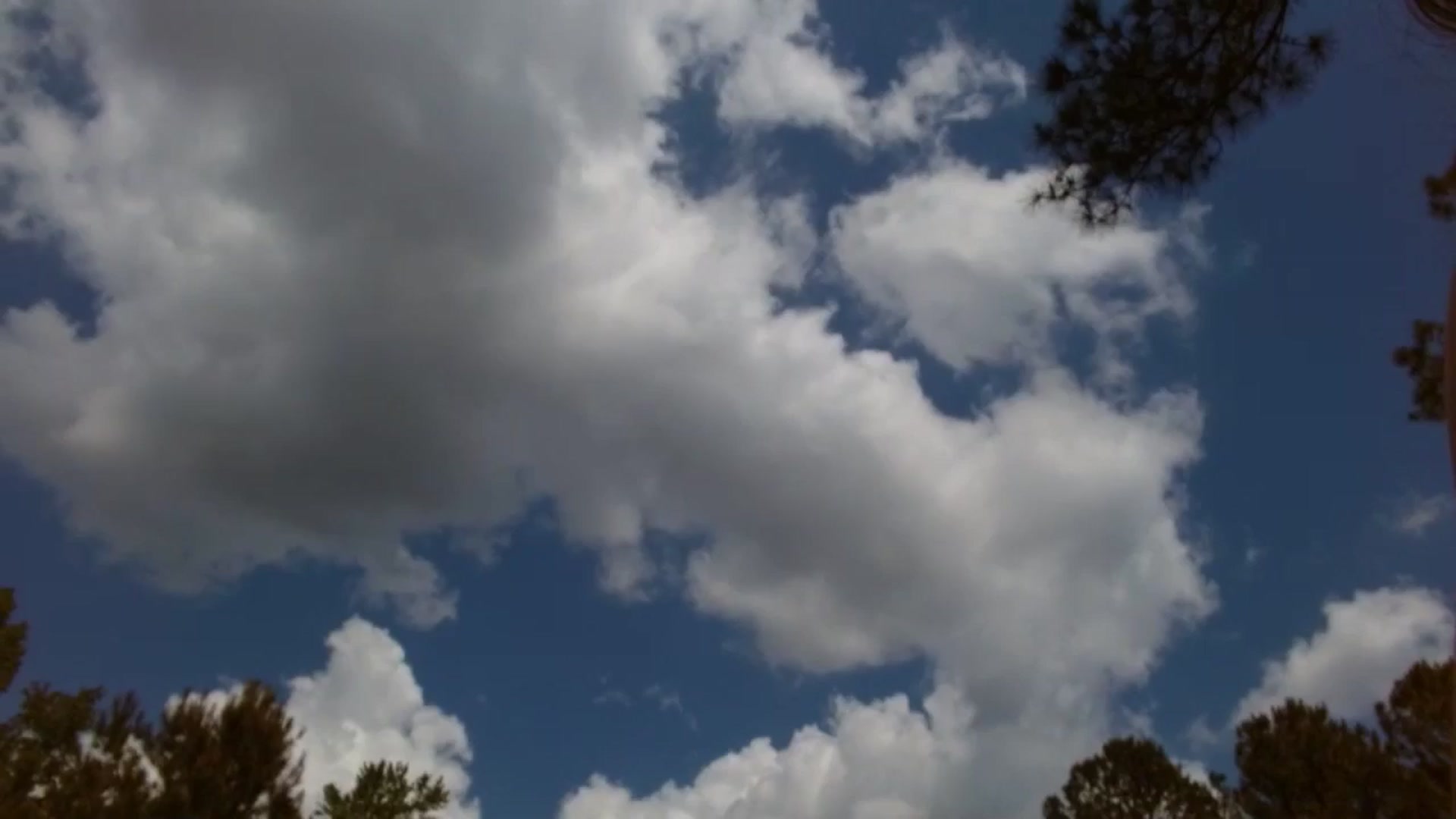 Gallery image thumbnail from GirlOffGrid's myfreecams stream on, 05/02/2024, 18:47 image 20 of 20