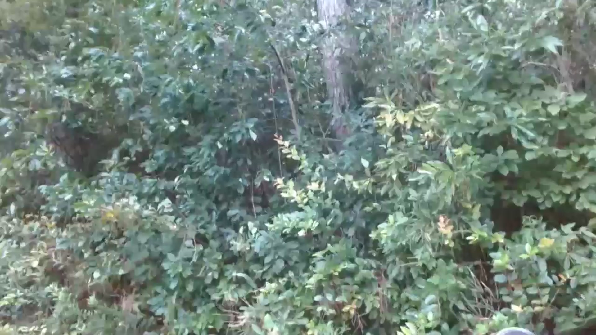 Gallery image thumbnail from GirlOffGrid's myfreecams stream on, 09/15/2024, 19:39 image 2 of 20
