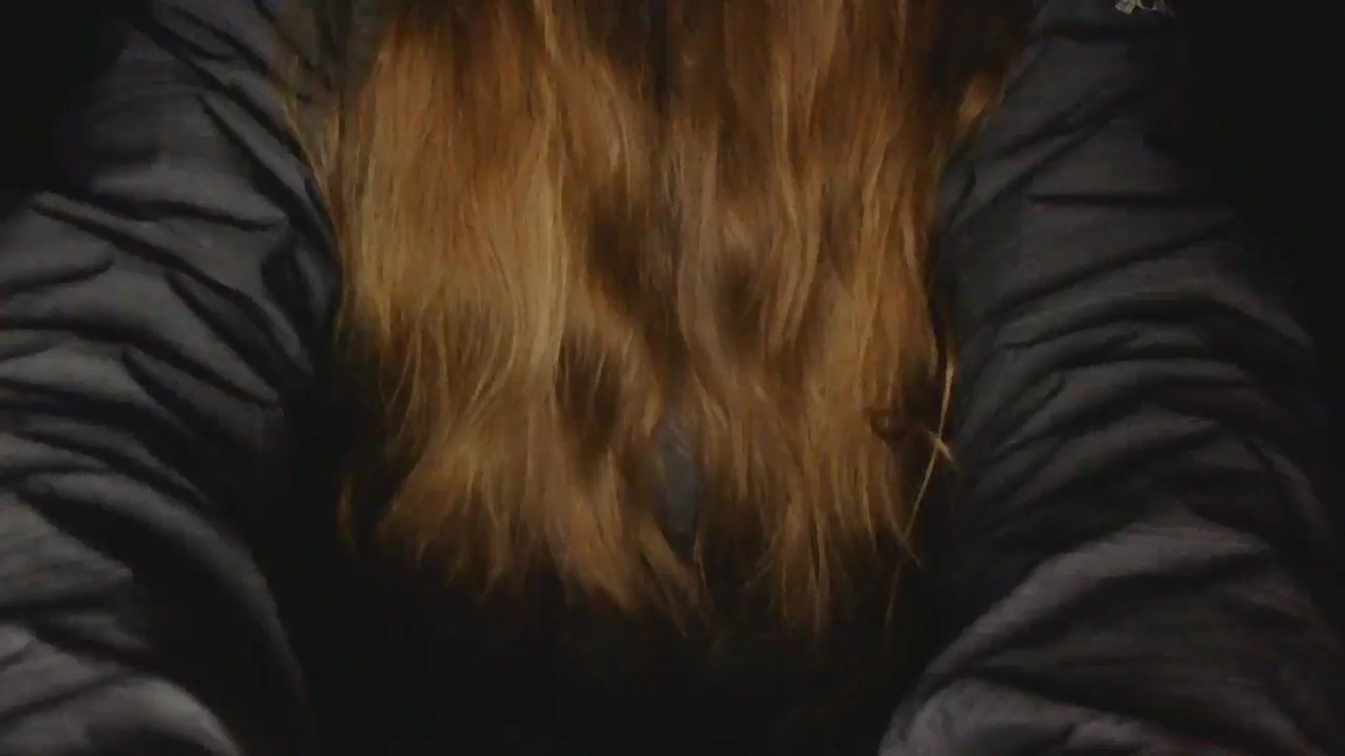 Gallery image thumbnail from GirlOffGrid's myfreecams stream on, 01/08/2026, 03:47 image 15 of 20