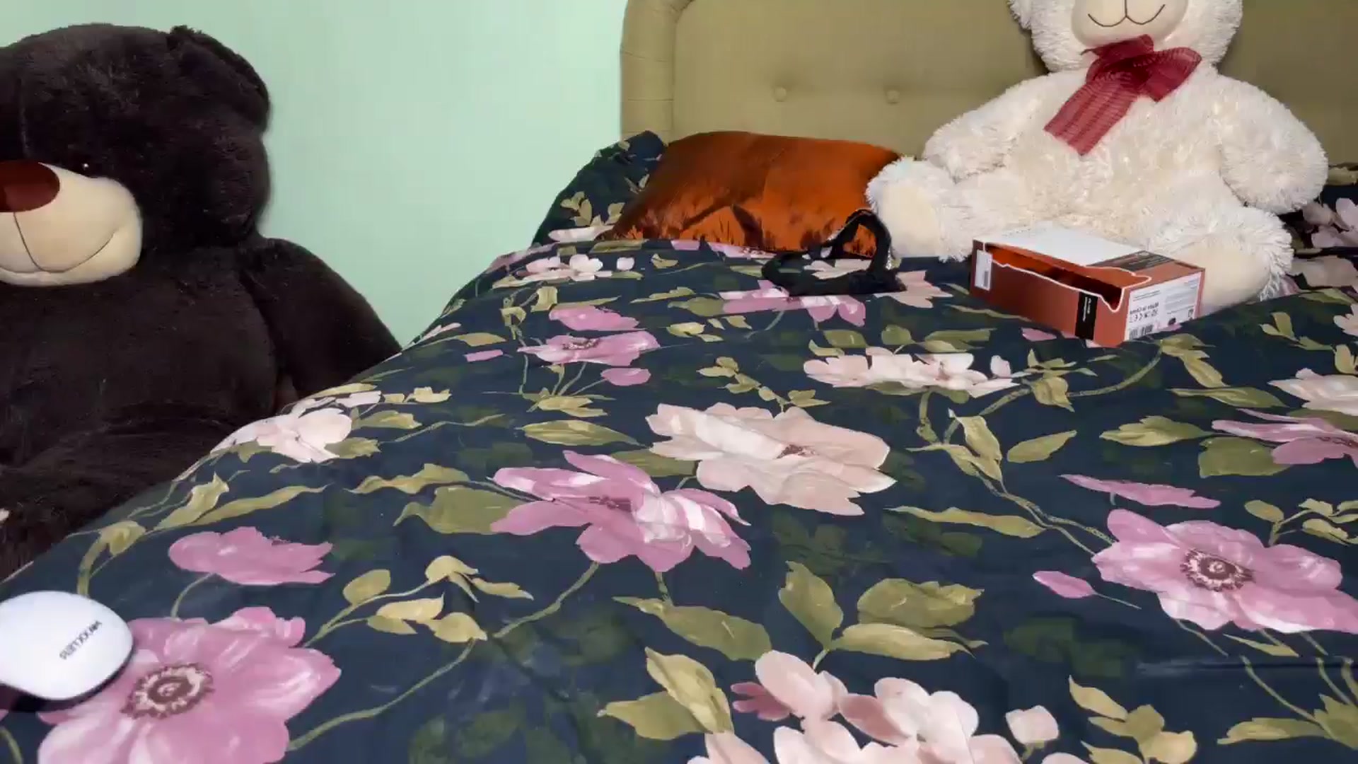 Gallery image thumbnail from GirlUkrainian's myfreecams stream on, 02/23/2025, 02:19 image 12 of 20