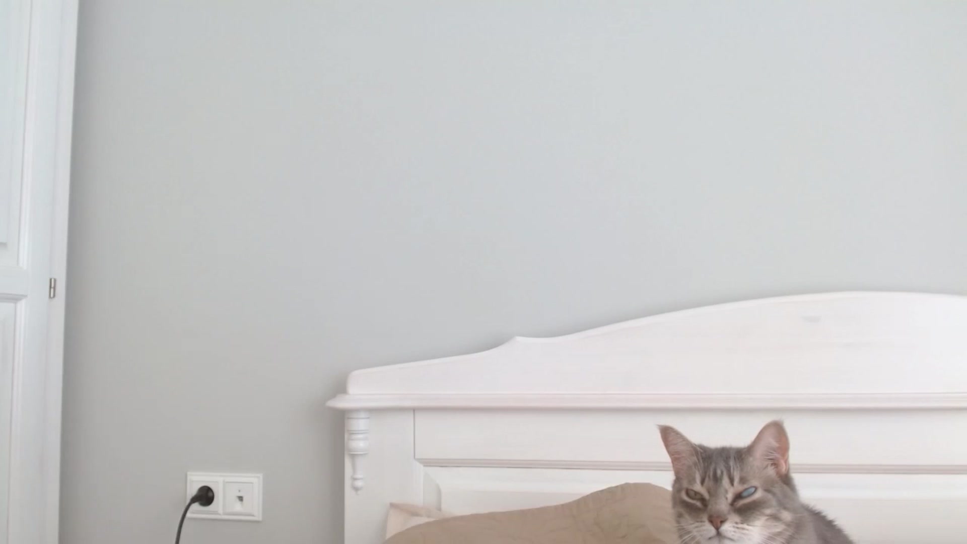 Gallery image thumbnail from Girlofheart's myfreecams stream on, 04/22/2023, 15:29 image 19 of 20
