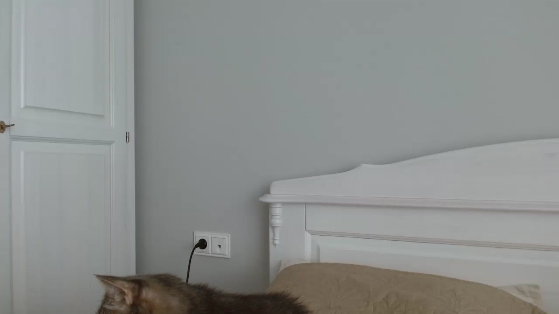 Gallery image thumbnail from Girlofheart's myfreecams stream on, 04/30/2023, 15:31 image 18 of 20