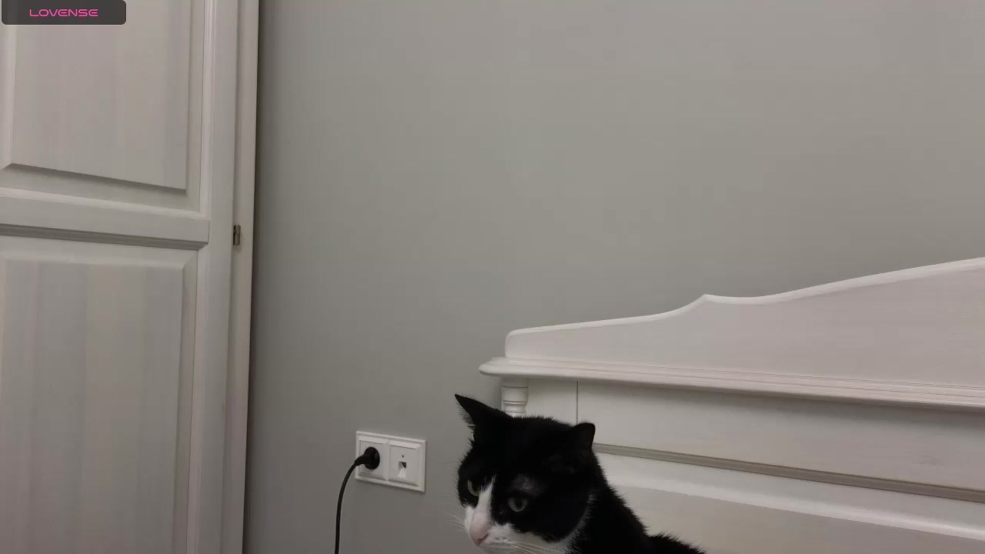 Gallery image thumbnail from Girlofheart's myfreecams stream on, 10/22/2023, 24:59 image 9 of 20