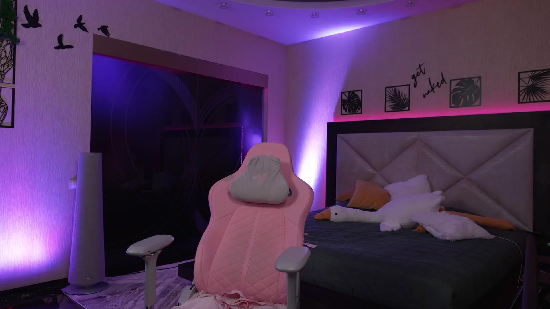 Gallery image thumbnail from GoGoDr3am's myfreecams stream on, 02/09/2025, 23:55 image 9 of 20