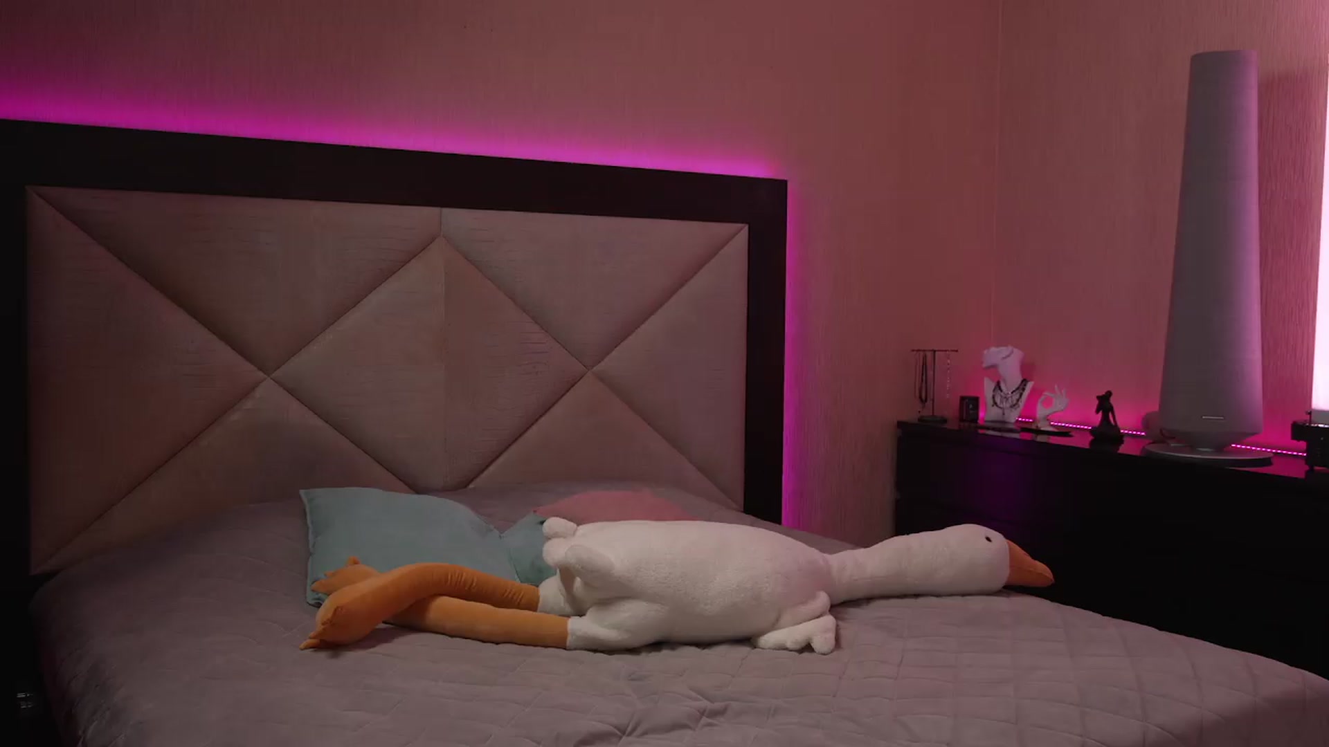 Gallery image thumbnail from GoGoDr3am's myfreecams stream on, 05/20/2026, 24:42 image 17 of 20