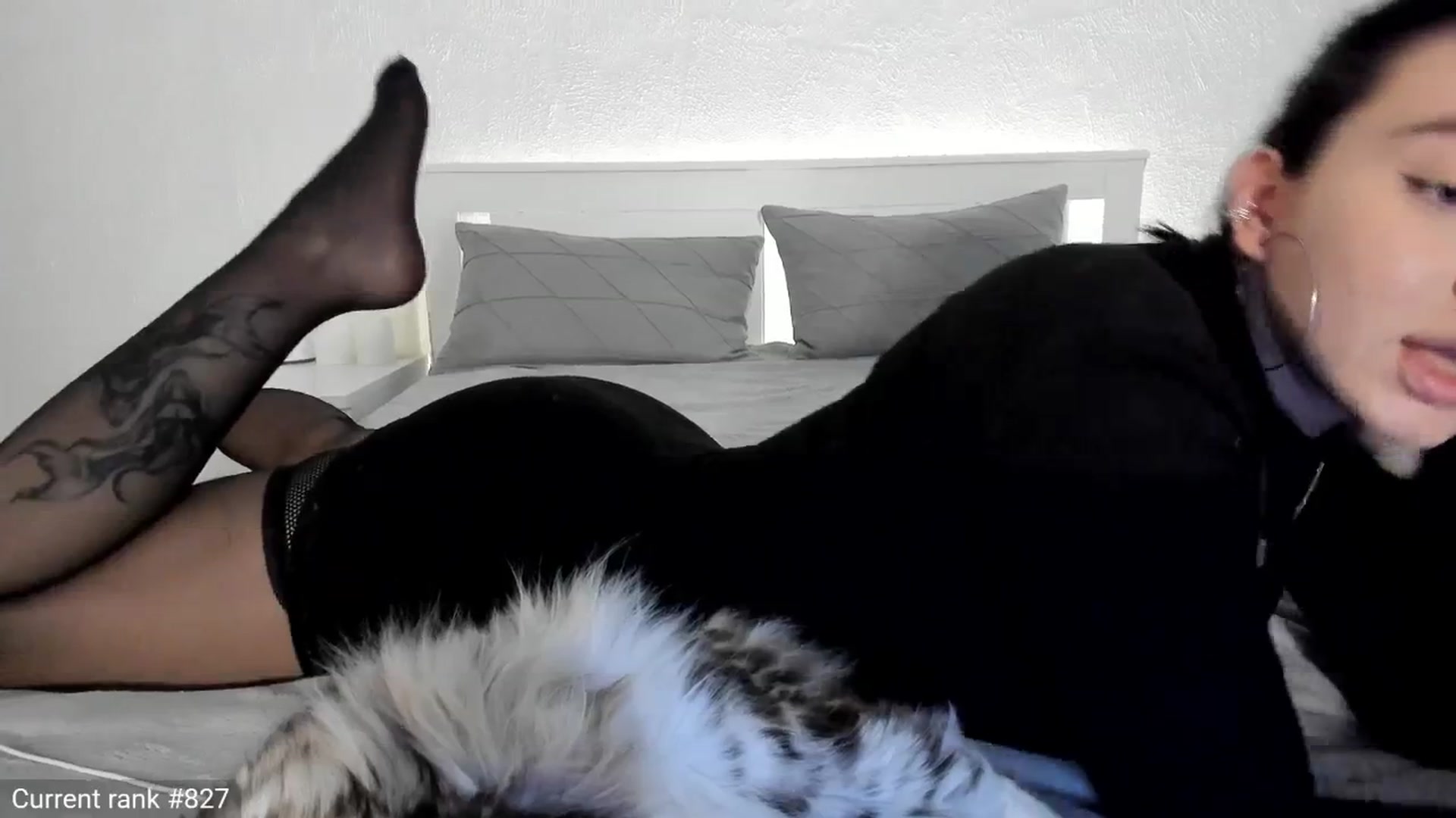 Gallery image thumbnail from GoddesKelly's myfreecams stream on, 05/03/2025, 10:36 image 13 of 20