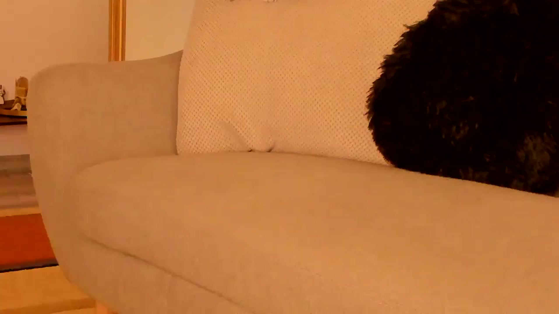 Gallery image thumbnail from GoddesSophie's myfreecams stream on, 12/20/2024, 14:45 image 6 of 20