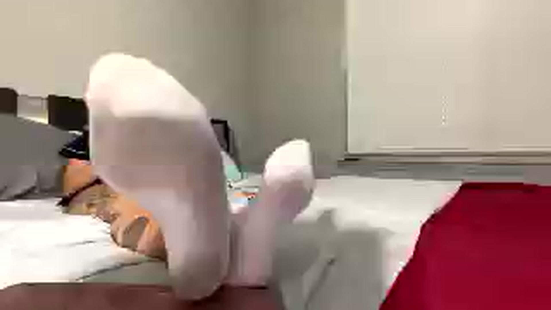 Gallery image thumbnail from GoddessElysia's myfreecams stream on, 07/17/2025, 24:20 image 14 of 20