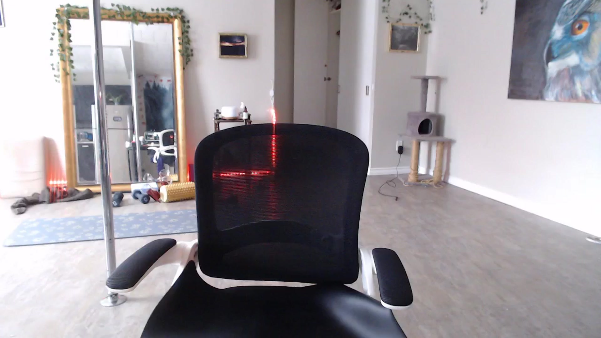Gallery image thumbnail from GoddessJadee's myfreecams stream on, 12/26/2025, 18:27 image 7 of 20