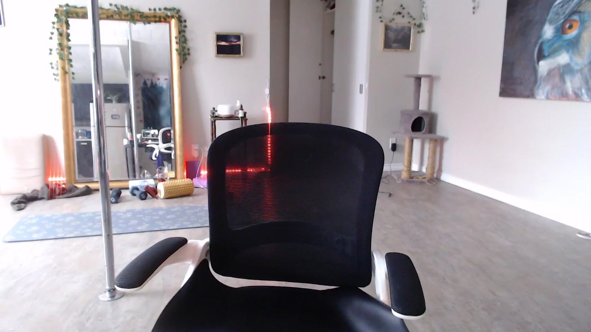 Gallery image thumbnail from GoddessJadee's myfreecams stream on, 12/26/2025, 18:27 image 2 of 20